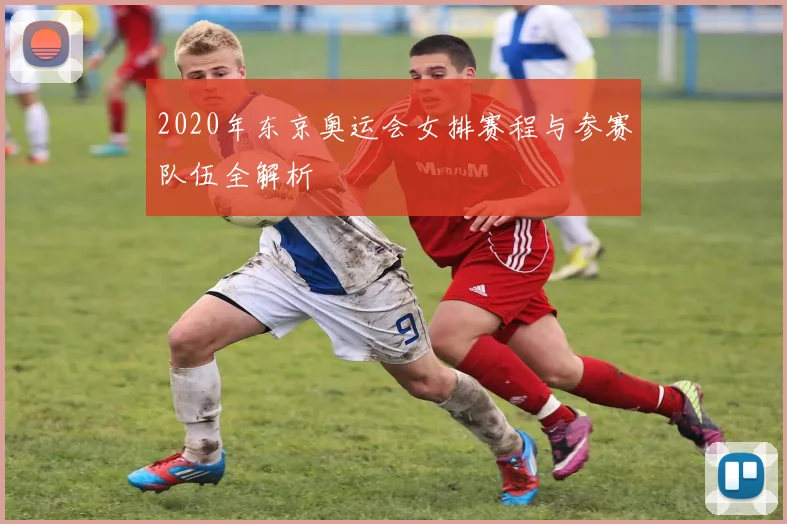 2020年东京奥运会女排赛程与参赛队伍全解析