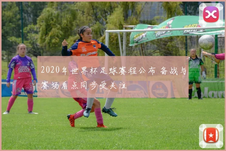 2020年世界杯足球赛程公布 备战与赛场看点同步受关注