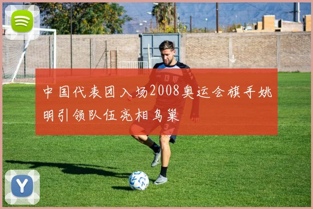 中国代表团入场2008奥运会旗手姚明引领队伍亮相鸟巢