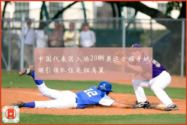 中国代表团入场2008奥运会旗手姚明引领队伍亮相鸟巢
